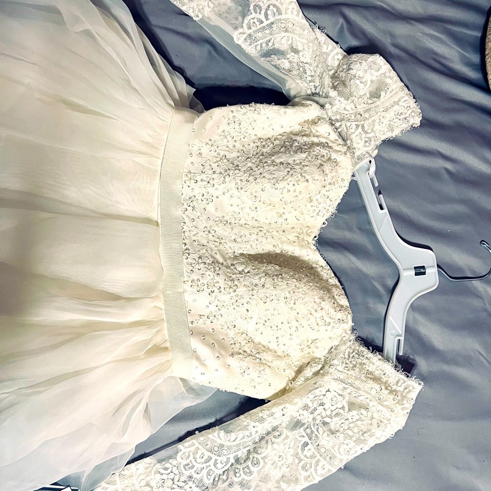 Wedding Dress - Picture 9 of 11